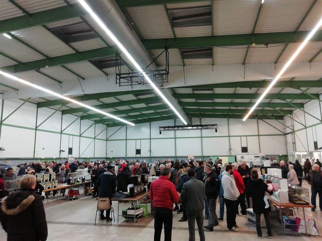 Mars  2020 bourse aux oiseaux AVDS