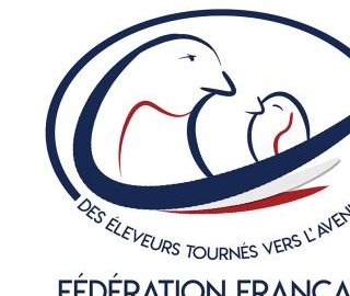 CONSEIL D'ADMINISTRATION DE LA FFO
